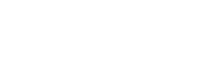 be secure home logo wit